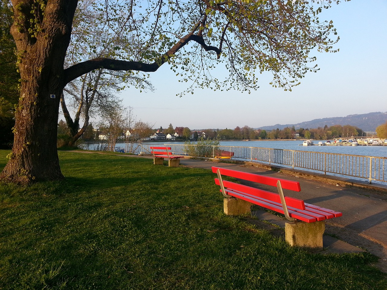 胜立下了汗 胜立下了汗