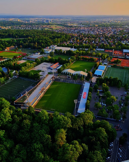 阵容来让球 阵容来让球