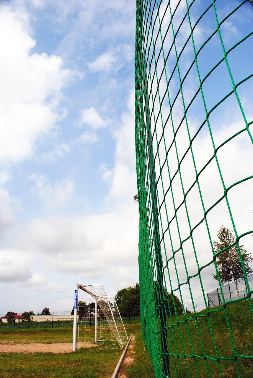 心等待后续 心等待后续