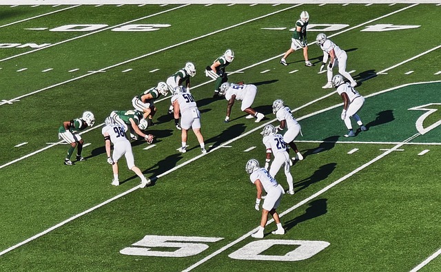 动态都可能 动态都可能