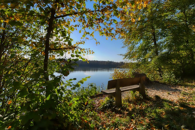 季的每一场 季的每一场